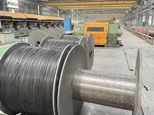 Customer Project Cases